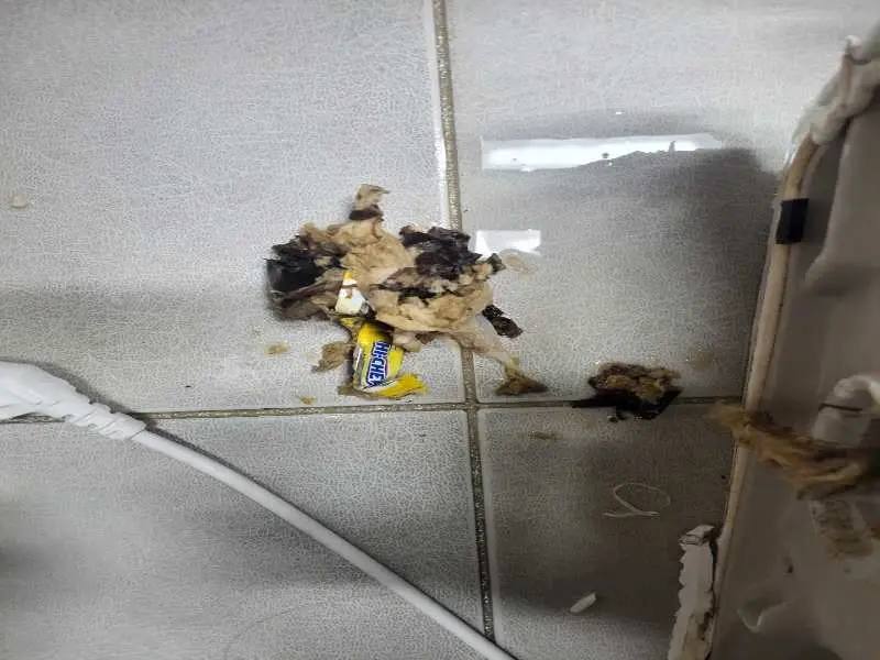 안양 배관 이물질 제거 사례 2